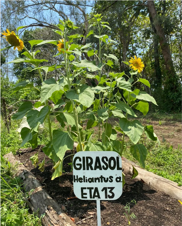 captura de pantalla 2025 08 25 232324