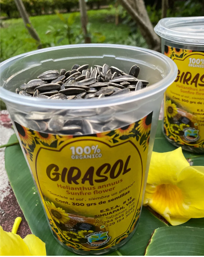 captura de pantalla 2025 08 25 232935